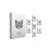 Gıpta Lıfe Is Cool 19x26 120 Yp Kareli Spiralli Sert Kpk Defter 4683