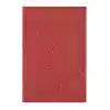 Lıno Simli Karton Kırmızı 5 Li 50x70 Rbp-406