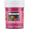 Nova Color Guaj Boya Pembe Şişe Nc-112