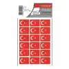 Tanex Türk Bayrağı Etiket 2 Li