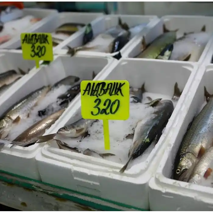 Balıkçı Tezgah Etiketi Açılı Saplamalı Fiyat Etiketi Fosforlu Sarı Büyük Boy 10 Adet