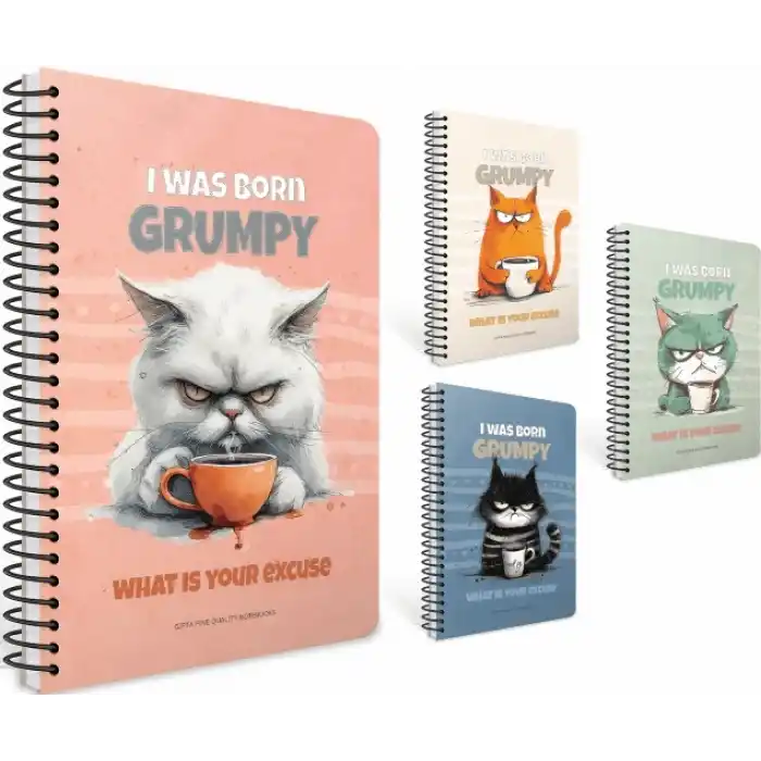 GIPTA GRUMPY NOTES A5 100 YP. ÇİZGİLİ SPR.SERT KPK.DEFTER 7442