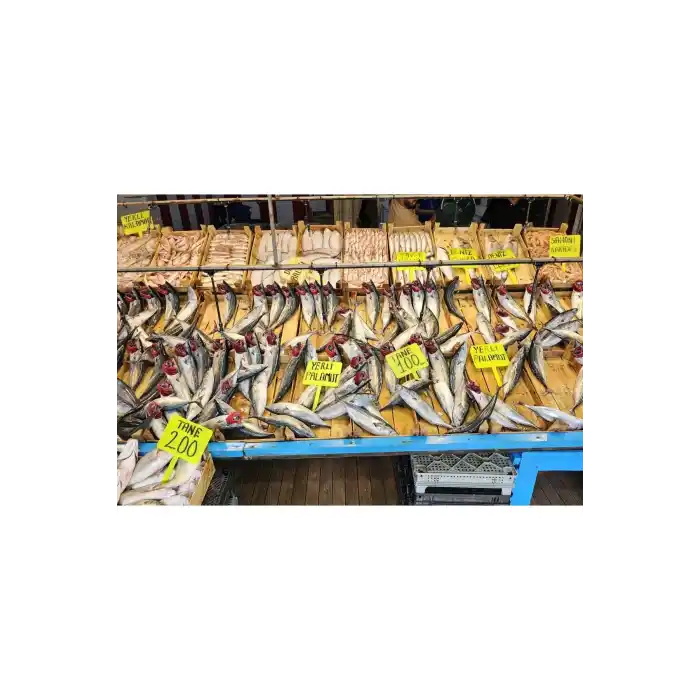 Açılı Saplamalı Plastik Pazarcı Fiyat Etiketi Küçük Boy Fosforlu Sarı 10 Adet