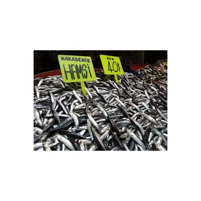 Açılı Saplamalı Plastik Pazarcı Fiyat Etiketi Küçük Boy Fosforlu Sarı 10 Adet