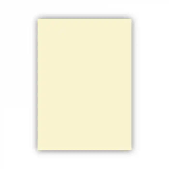 ALEX KOLEJ FON KARTONU 50X70 FİLDİŞİ 160 GR 100 LÜ 1002
