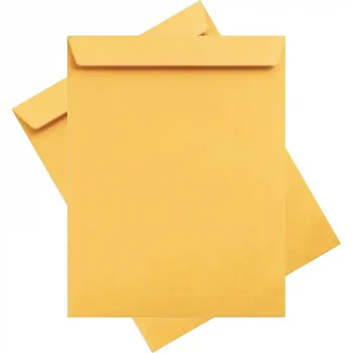 ASİL FORMULA 25 Lİ 26X35 TORBA ZARF 100GR AS-11129