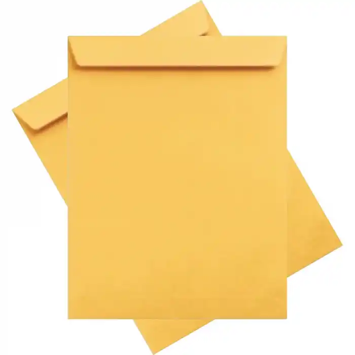 ASİL FORMULA 33X45 TORBA ZARF 100 GR 250Lİ AS-0884