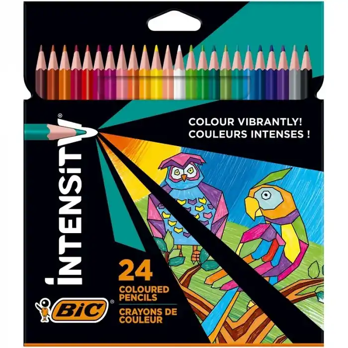 BİC COLOR UP 24 RENK KURUBOYA 950528