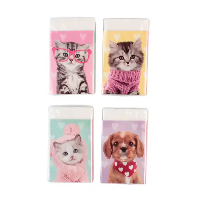 DOLPHIN PT-782 STUDIO PETS SİLGİ SETİ