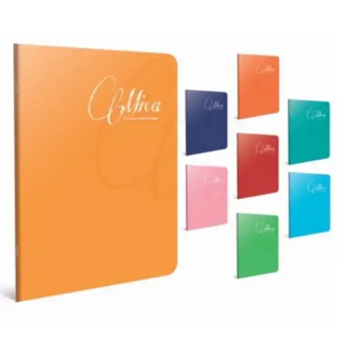 GIPTA MICA A4 60 YP KARELİ PP KAP.DEFTER 1705