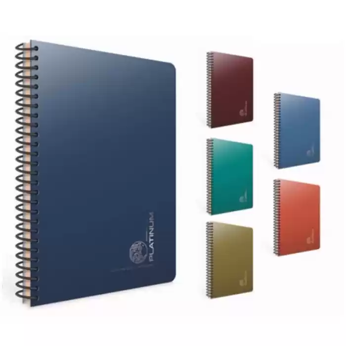 GIPTA PLATINIUM A4 80 YP KARELİ SPR PP KPK DEFTER 5686