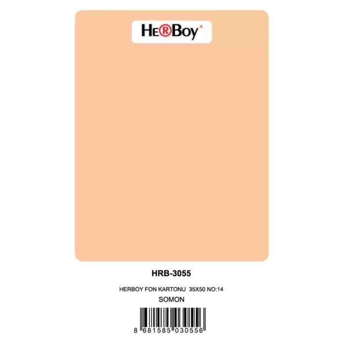 HERBOY FON KARTONU  35X50 NO:14 SOMON 100 LÜ HRB-3055