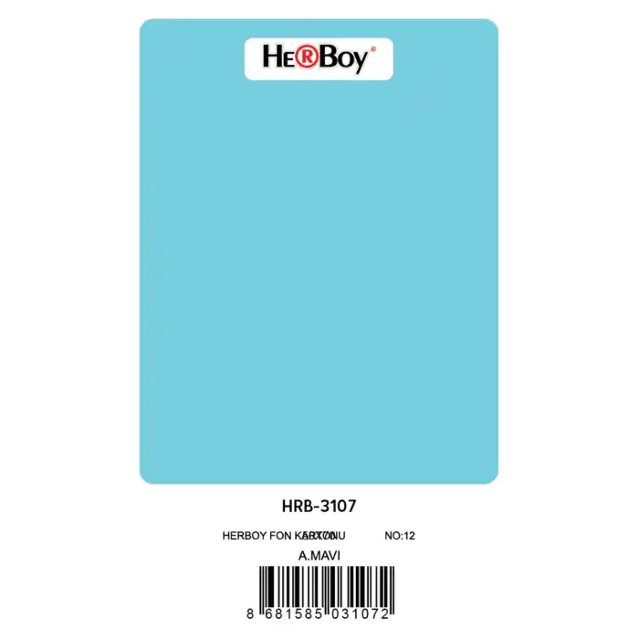 Herboy Fon Kartonu 50x70 Açık Mavi No:12 160 Gr 100 Lü Hrb-3107