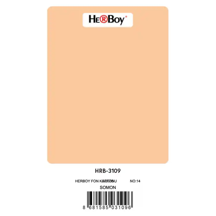 Herboy Fon Kartonu 50x70 Somon No:14 160 Gr 100 Lü Hrb-3109