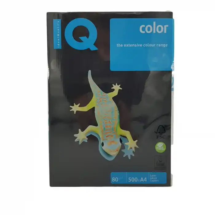 IQ A4 YOĞUN SİYAH RENKLİ FOTOKOPİ KAĞIDI 80 GR B100