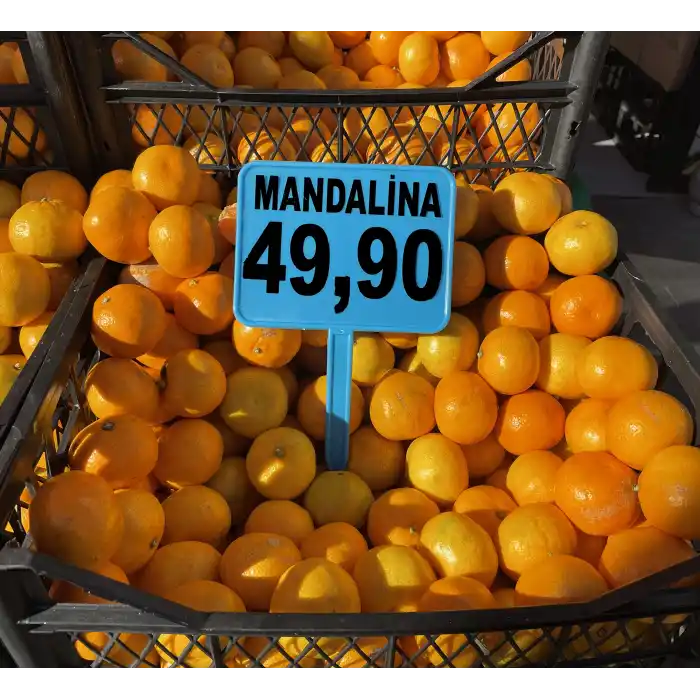 Saplamalı Plastik Pazarcı Etiketi Pazarcı Fiyat Etiketi Pazar Etiketi Açılı Eğimli Etiket MAVİ RENK 10 Ad. Büyük Boy