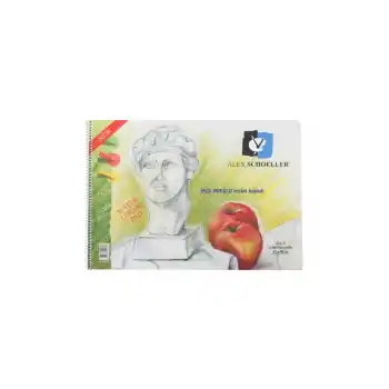 ALEX 35X50 25 YP.PP KAPAK RESİM DEFTERİ ALX-962/0823