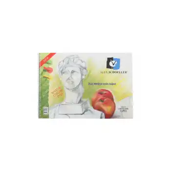 ALEX 35X50 25 YP.PP KAPAK RESİM DEFTERİ ALX-962/0823