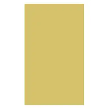 ALEX KOLEJ FON KARTONU 50X70 ALTIN 160 GR 100 LÜ 1011