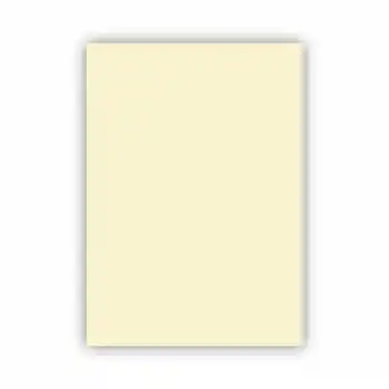 ALEX KOLEJ FON KARTONU 50X70 FİLDİŞİ 160 GR 100 LÜ 1002