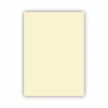 ALEX KOLEJ FON KARTONU 50X70 FİLDİŞİ 160 GR 100 LÜ 1002