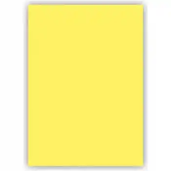 ALEX KOLEJ FON KARTONU 50X70 LİMON SARISI 160 GR 100 LÜ 1053