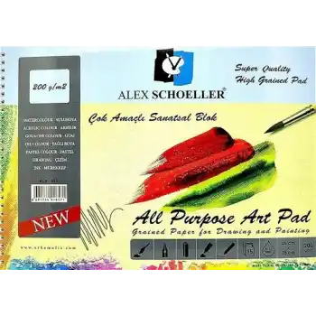 Alex Schoeller 25x35 Resim Defteri 200 Gr 15 Yp 893