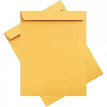 ASİL FORMULA 26X35 TORBA ZARF 100 GR 250Lİ AS-0864