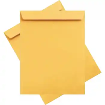 ASİL FORMULA 32X42 TORBA ZARF 100 GR 250Lİ AS-0879