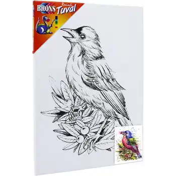 BRONS 35X50 RESİMLİ TUVAL BR-361