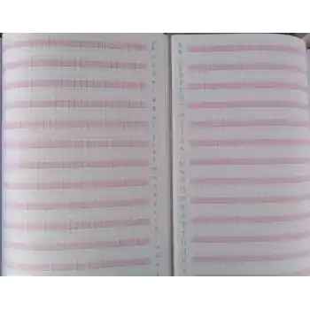 ÇINAR 17X24 40 YP STANDART GÜZEL YAZI DEFTERİ RENKLİ DİK ÇİZGİLİ 24017