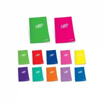 ÇINAR COLLEGE A4 60 YP DÜZ PP KAPAK DİKİŞLİ DEFTER 76000