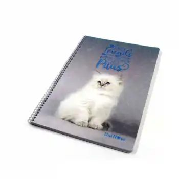 ÇINAR SEVİMLİ KEDİLER 72 YP ÇİZGİLİ PP KAPAK SPİRALLİ 71319