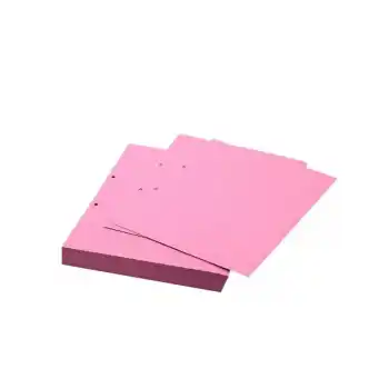 DİLMAN ARA KARTONU A4 100 LÜ