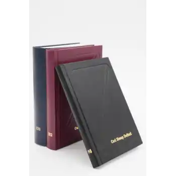 DİLMAN CARİ HESAP DEFTERİ 20X28 320 YP. DİK