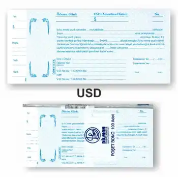 DİLMAN DOLAR SENET KOÇANI 100 LÜ