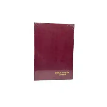 DİLMAN OKUL MÜDÜR DENETİM DEFTERİ 96 YP. CİLTLİ