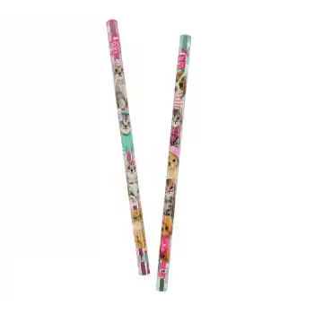 DOLPHIN PT-6372 STUDIO PETS KURŞUN KALEM