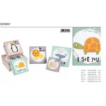 GIPTA BX1540 2161 BONNY KARE 6 LI KUTU SETİ