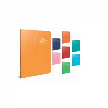 GIPTA MICA A5 60 YP KARELİ PP KAP.DEFTER 1712