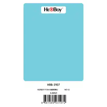 HERBOY FON KARTONU 50X70 AÇIK MAVİ NO:12 160 GR 100 LÜ HRB-3107