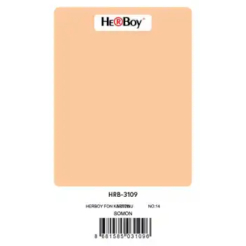 HERBOY FON KARTONU 50X70 SOMON NO:14 160 GR 100 LÜ HRB-3109