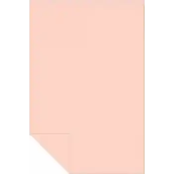 HERBOY HRB3109 FON KARTONU 50X70 SOMON 160 GR NO:14 100 LÜ