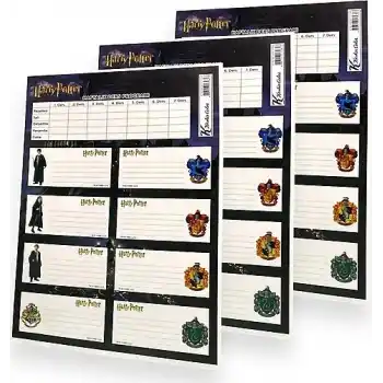 KESKİN HARRY PORTER 3 LÜ DERS PROGRAMLI ETİKET 220130