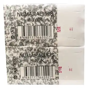 NUMARALI FİŞ BÜYÜK DÜZİNE 100 YP.
