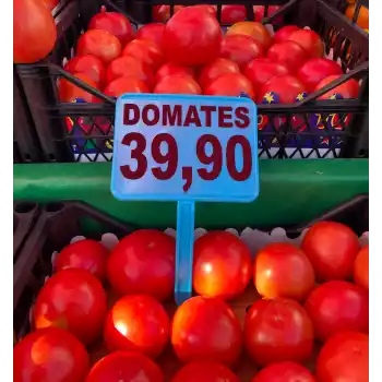 Saplamalı Plastik Pazarcı Etiketi Pazarcı Fiyat Etiketi Pazar Etiketi Açılı Eğimli Etiket MAVİ RENK 10 Ad. Büyük Boy