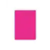 ASİL DIAMOND FON KARTONU CC40 PINK PEMBE 50X70 160GR