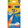 BİC EVOLUTION 12 RENK KURU BOYA 82902910