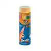 BİC EVOLUTION 36 R. METAL TÜP KURUBOYA 968491