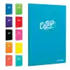 ÇINAR COLLEGE A4 100 YP ÇİZGİLİ PP KAPAK DİKİŞLİ DEFTER 76007